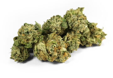 Kush Candy *smalls* by Fresh Flower Vibes