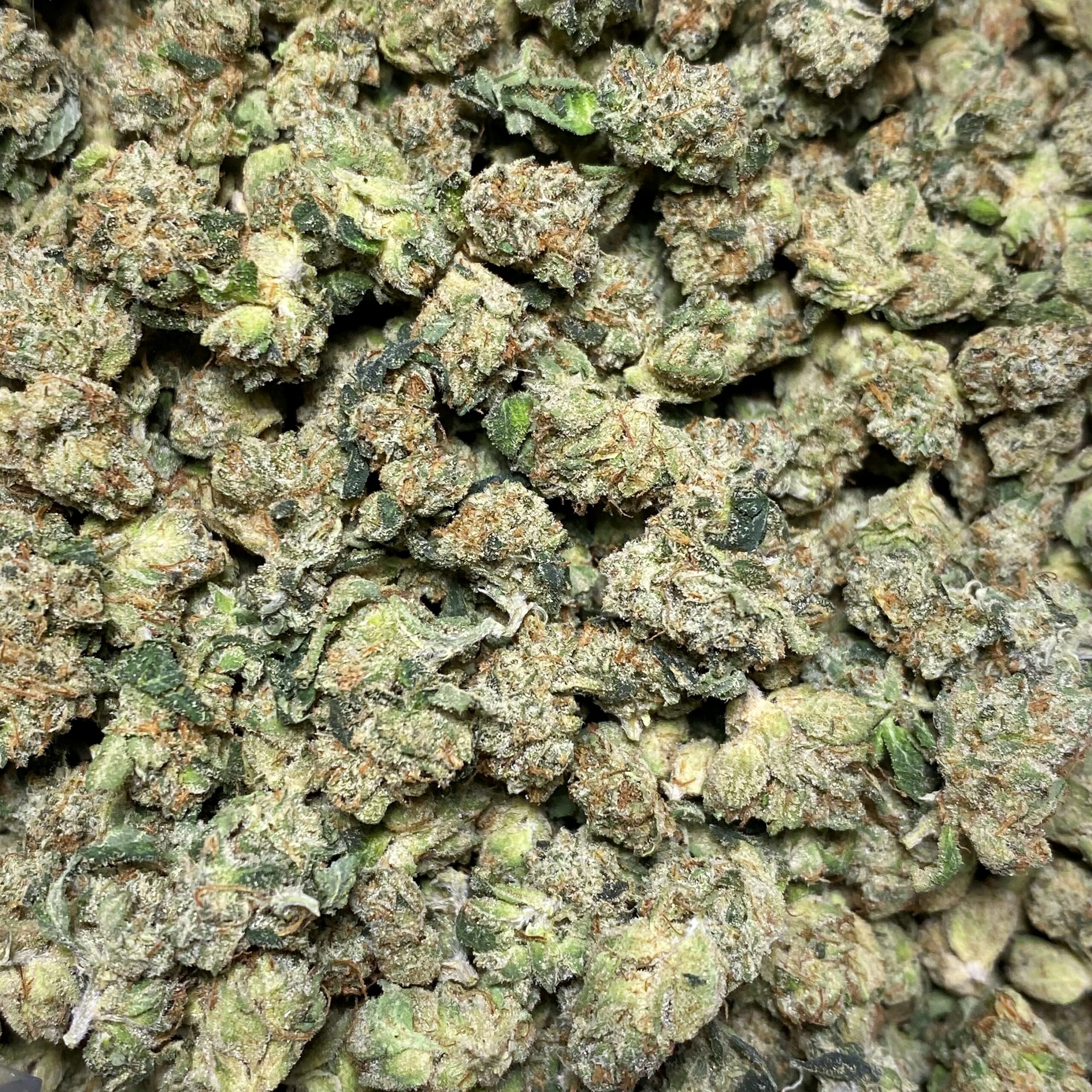 Vibez OG *SMALLS* by Fresh Flower Vibez