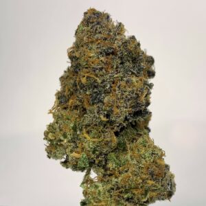 Lemon Trill by Shaun Cron Farms