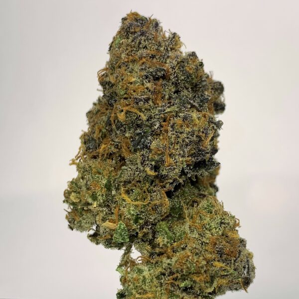 Lemon Trill by Shaun Cron Farms