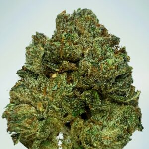 Oaksterdam OG by Dazed Farms