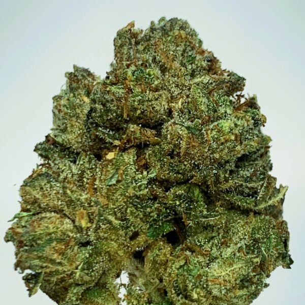 Oaksterdam OG by Dazed Farms