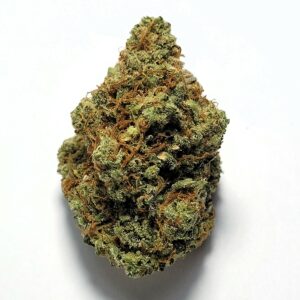 Indiana Bubblegum by Shaun Cron