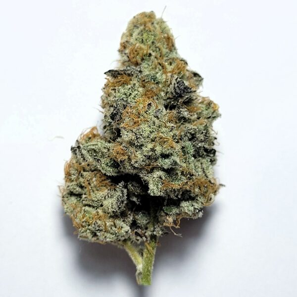 Dante's Inferno by HD_OG
