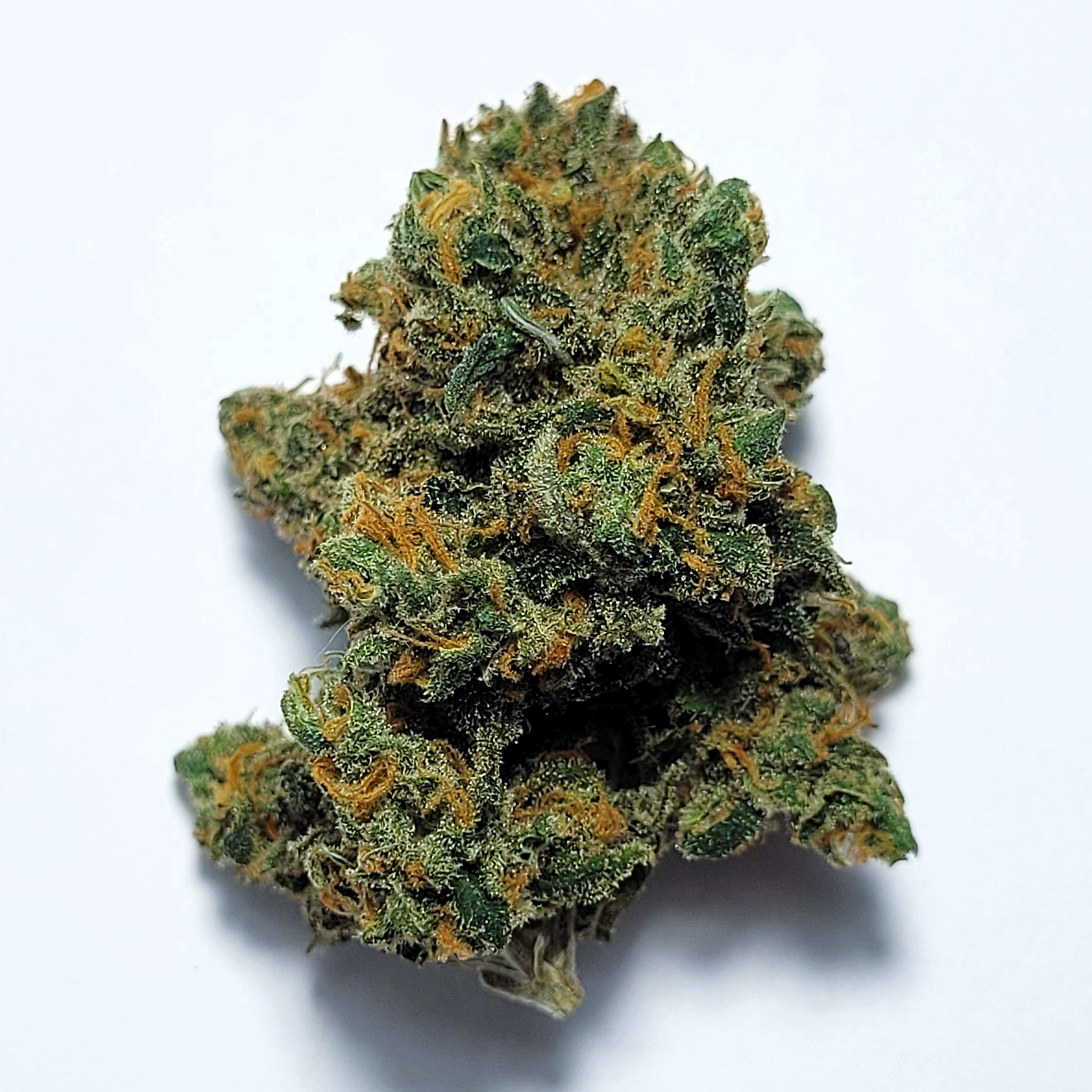 Hog's Breath by Shaun Cron