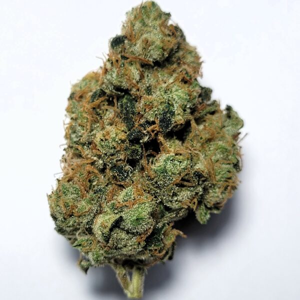 Maui Skunk Dawg by Shaun Cron