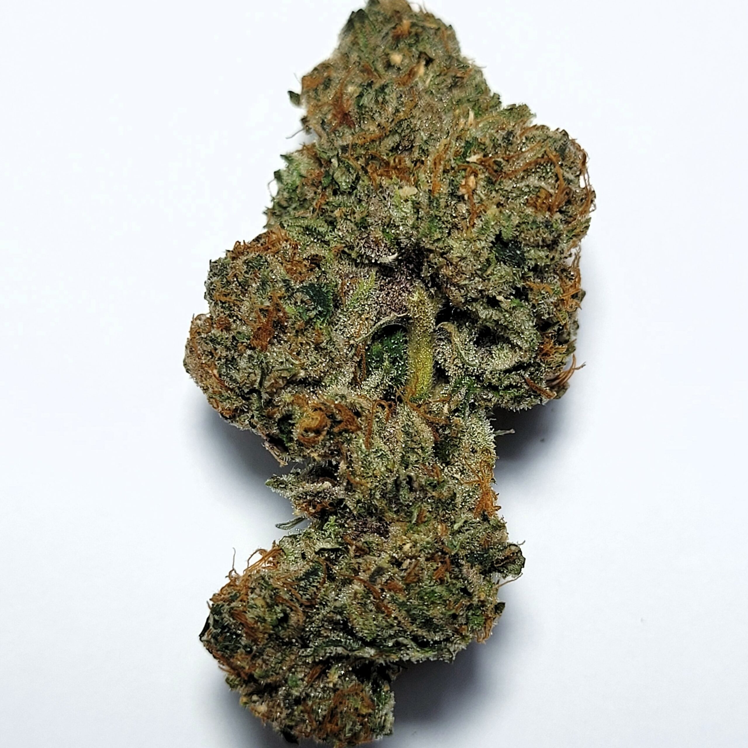Rope Fuel by Shaun Cron