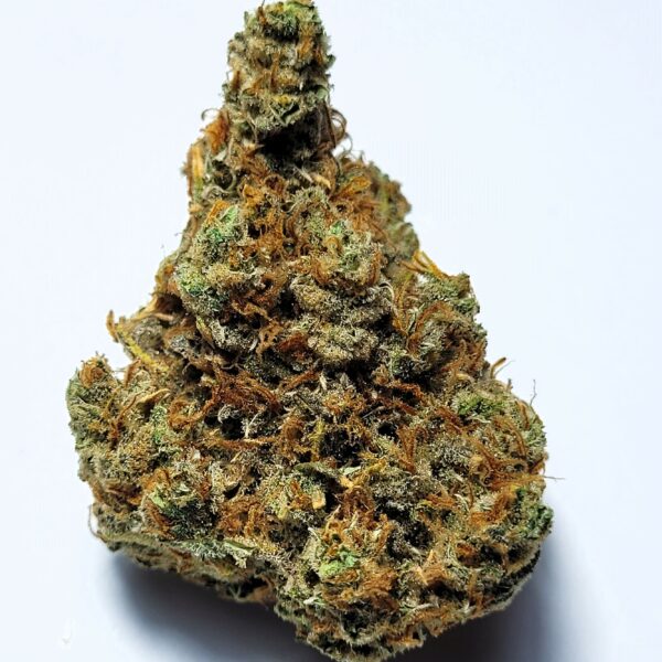 Super Lemon Haze Sativa