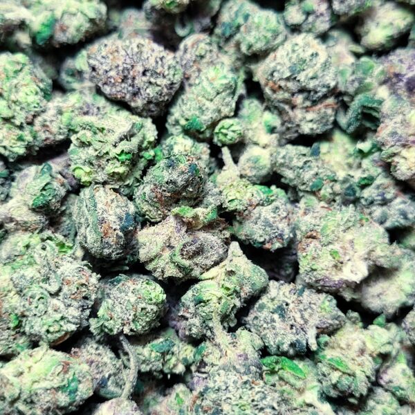 Lemon Cherry Gelato Hybrid *SMALLS*