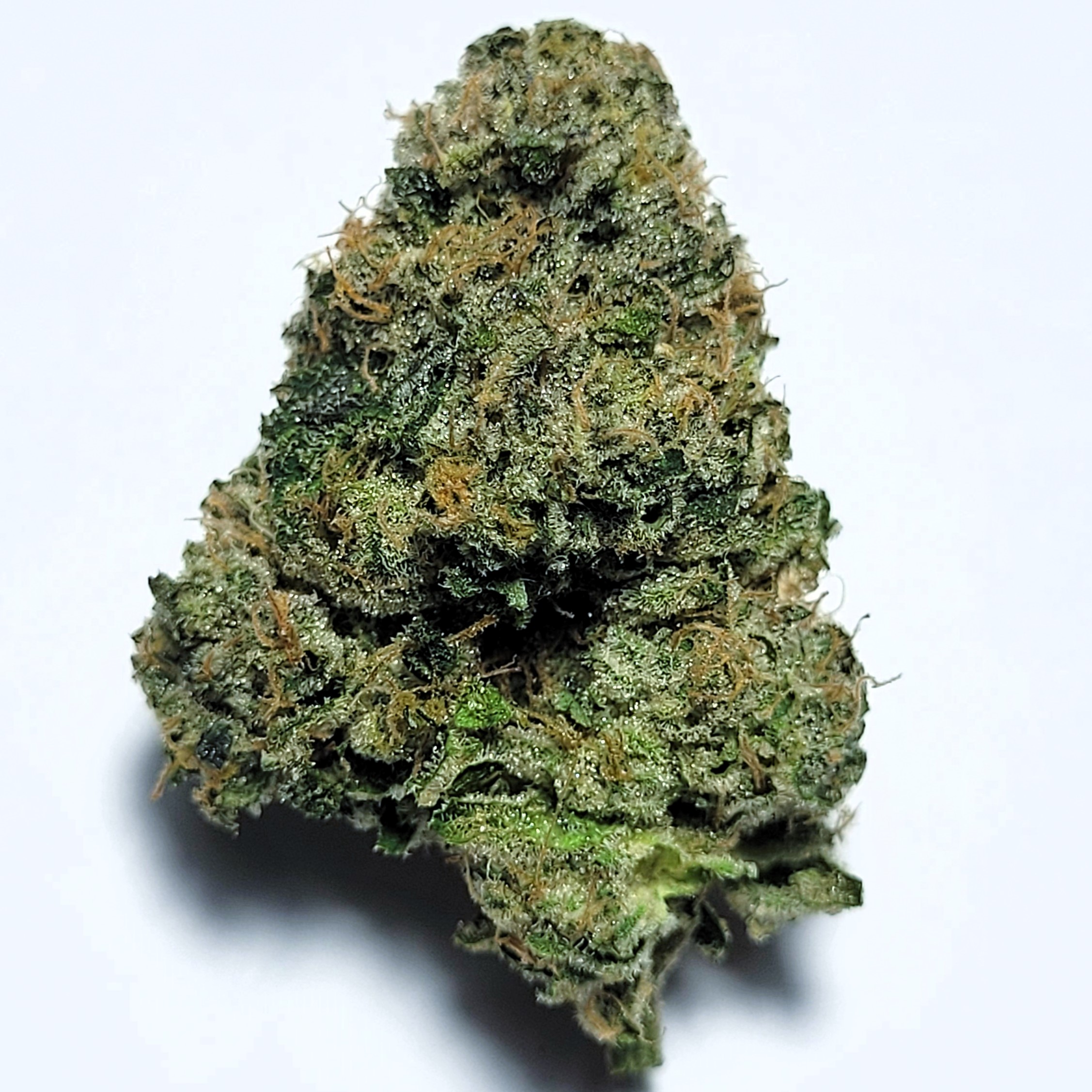 Confetti Cake Small Batch by Fresh Flower Vibez