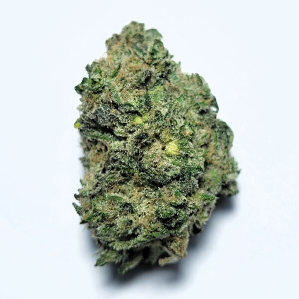 Candy Cake #7 by Organic Roots