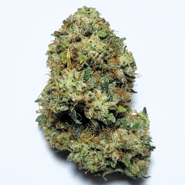 Triangle Kush by Organic Roots