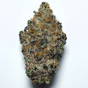 Black Amber by Organic Roots