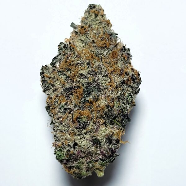Black Amber by Organic Roots