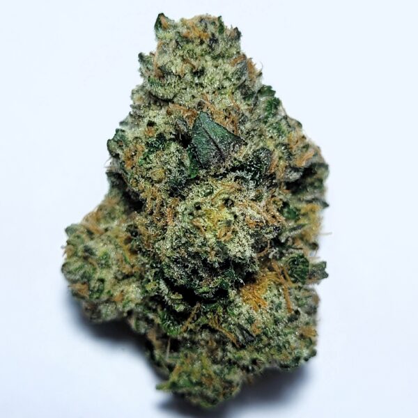Sherbanger 22 Small Batch by Fresh Flower Vibez