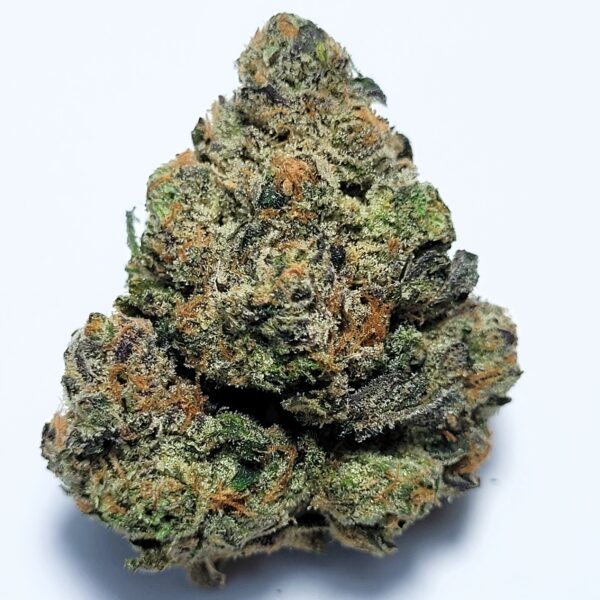 Motorbreath 15 x OG Kush Indica