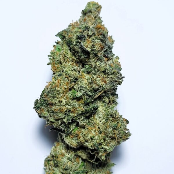 OZK x Lemon Cane by Shaun Cron