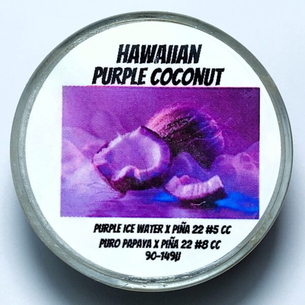 Real Cannabis Chris 'Hawaiian Purple Coconut' Cold Cure Live Rosin 90-149u