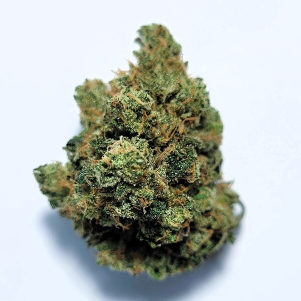OZK x OG by Shaun Cron