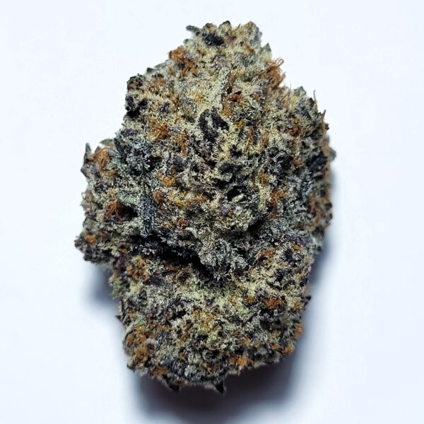 Northern Lights 5 x Haze Hybrid