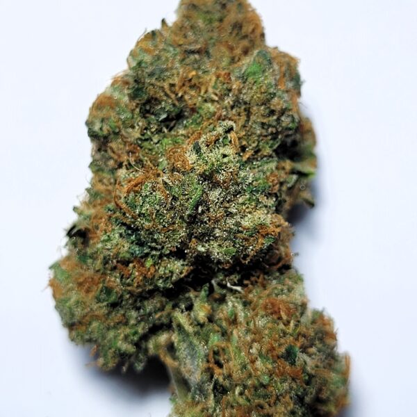 Orange Cookies by Shaun Cron