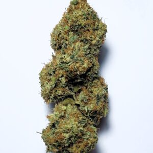 Chem Dawg by Shaun Cron