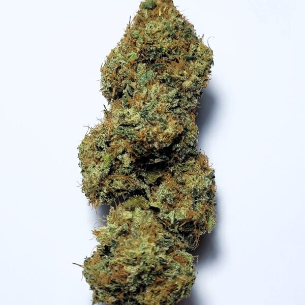 Chem Dawg by Shaun Cron