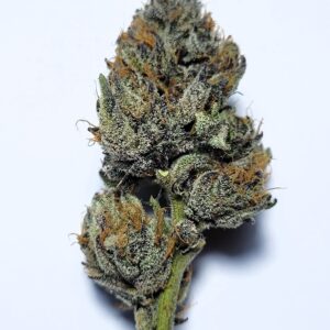 Sherb Cake by Resin Culture