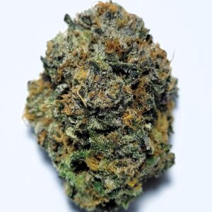 Southern Musk by Resin Culture