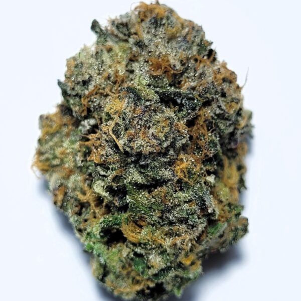 Southern Musk by Resin Culture