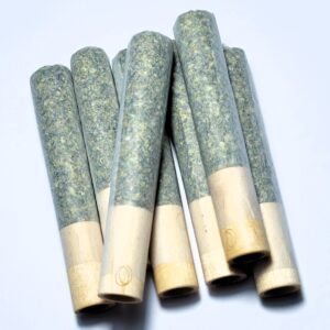 Cheetah Piss Preroll Joint by Fresh Flower Vibez