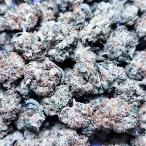 Strawberry Mango Haze by Fresh Flower Vibez *SMALLS*