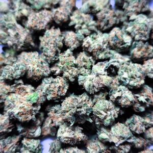 Medellin by Fresh Flower Vibez *SMALLS*