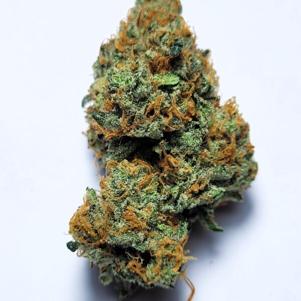 Super Silver Haze x Sour Dubb #1 by Shaun Cron