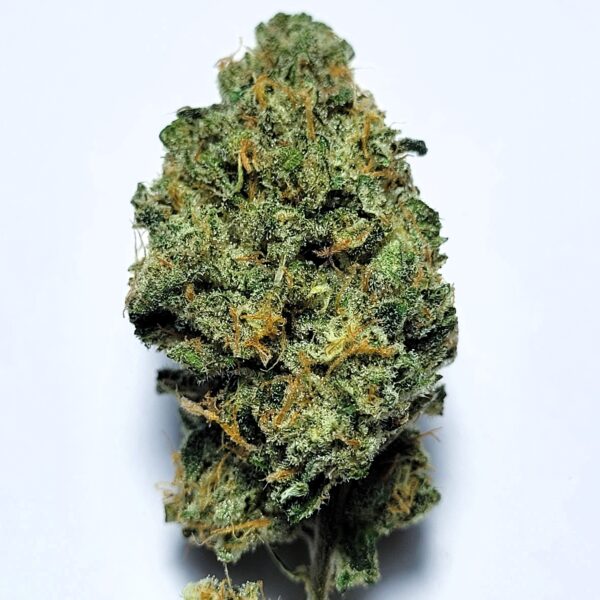 Z x Sour Dubb by Shaun Cron