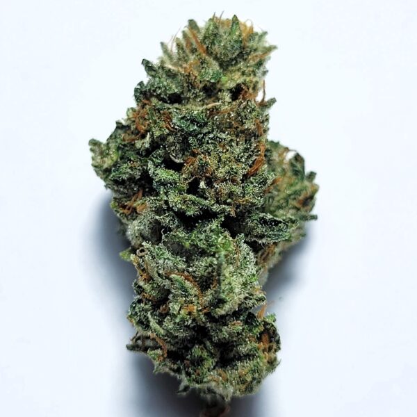 Josh D x Sour Dubb by Shaun Cron