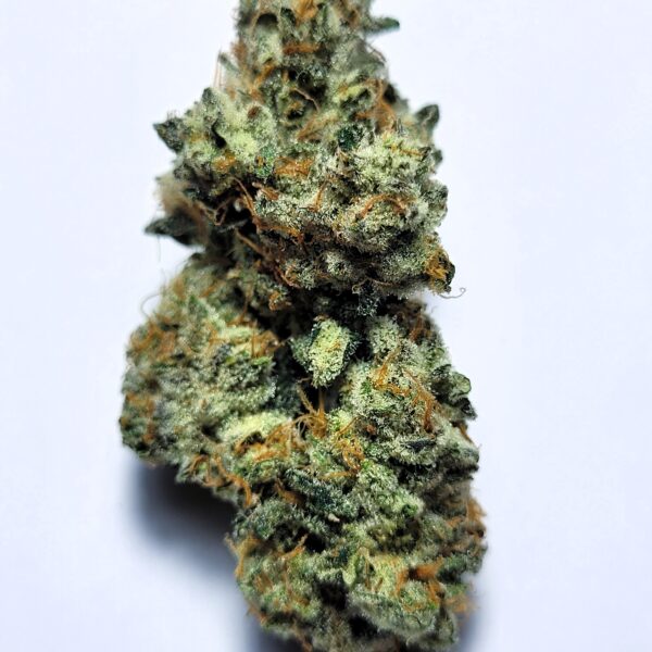 Maui Skunk Dawg x Sour Dubb by Shaun Cron