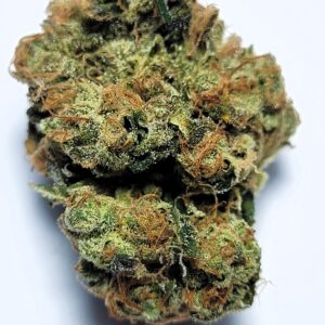 Sour Diesel Sativa
