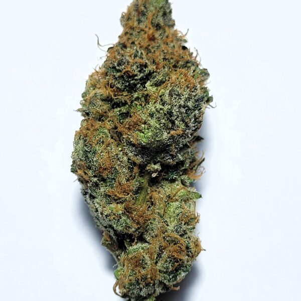 Dubb Tree by Shaun Cron