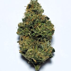 Sour Dubb x Irene x Lemon Tree by Shaun Cron