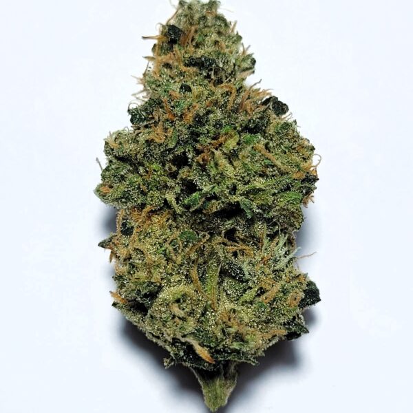 Sour Dubb x Irene x Lemon Tree by Shaun Cron