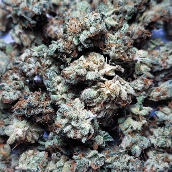 Sour Dubble Hybrid *SMALLS*