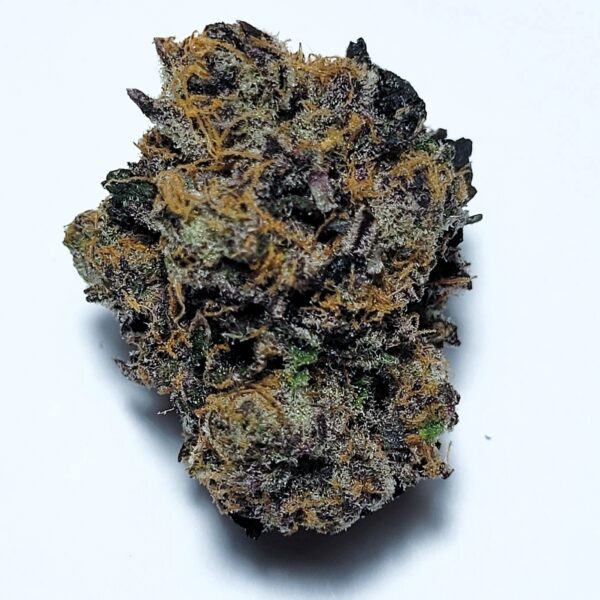 Cherry Cheesecake Hybrid