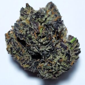White Truffle Hybrid