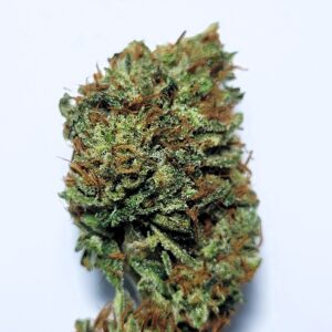 Sour Dubble by Shaun Cron