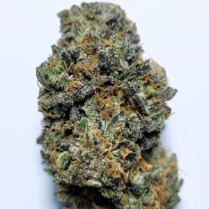 Blueberry Cheese by Shaun Cron