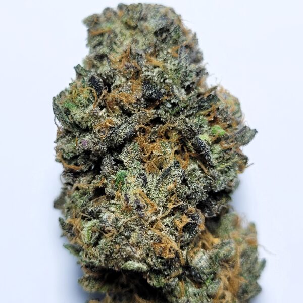 Blueberry Cheese by Shaun Cron