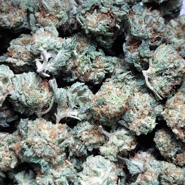 LA Pop Rocks by Fresh Flower Vibez *SMALLS*