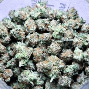 Strawberry Mango Haze by Fresh Flower Vibez *SMALLS*