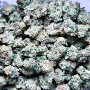 Gary Payton by Fresh Flower Vibez *SMALLS*